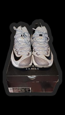 Nike Lebron XIII low 