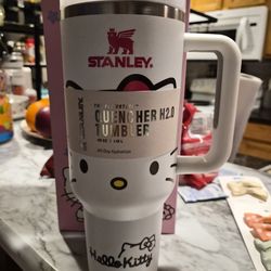 40 oz hello kitty stanely