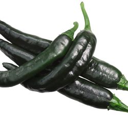 Chilaca Pepper Plants 
