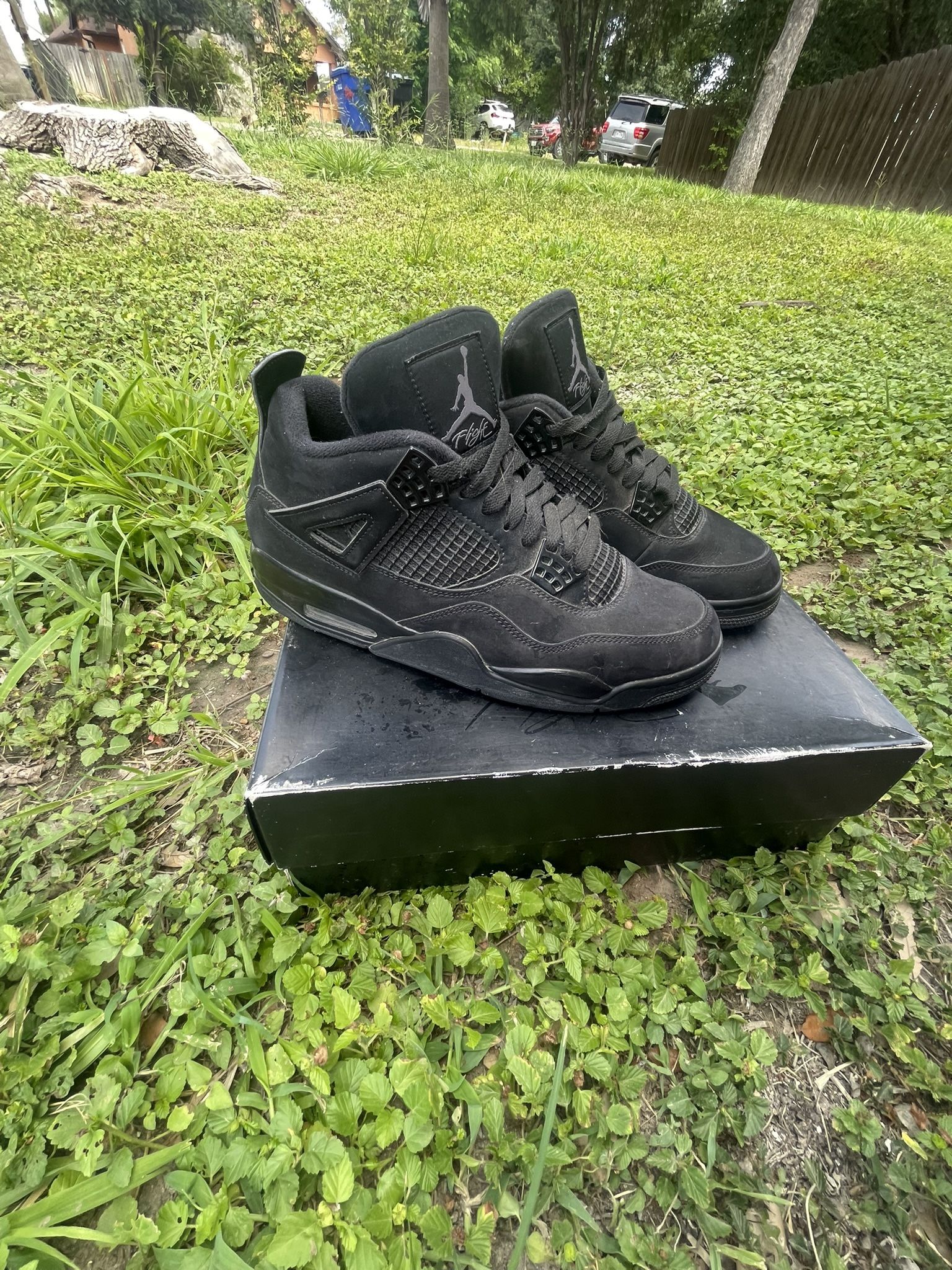 Jordan 4s Black Cats 2020
