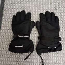 Grandoe Mens Insulated Large Ski Snowboard Gloves 
