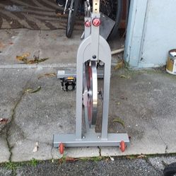 Sunny Exercise Bike