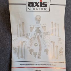 Anatomy Disarticulated Bones/skeleton (axis scientific)