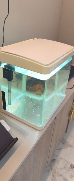 5 gallon fish tank aquarium