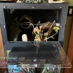 Reptile Tank/ Terrarium + Toy