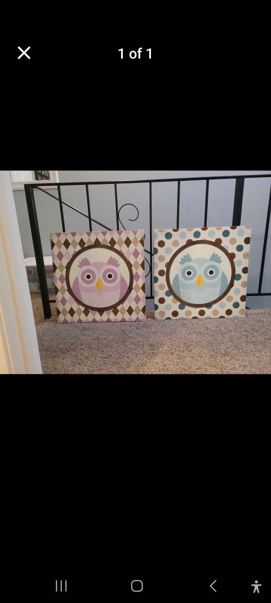 Owl Pics
