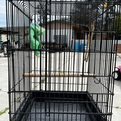 Bird Cage