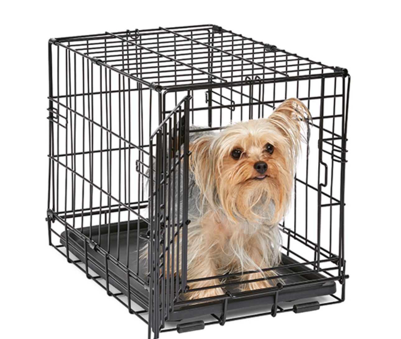 Small Dog Cage