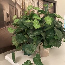 Artificial Plant Artificial 13” Kangaroo Vine/Plant in Ceramic Pot