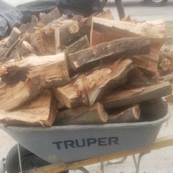 🔥 Dry Almond Firewood 🔥 