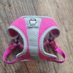 Used XXS Top Paw Harness $15