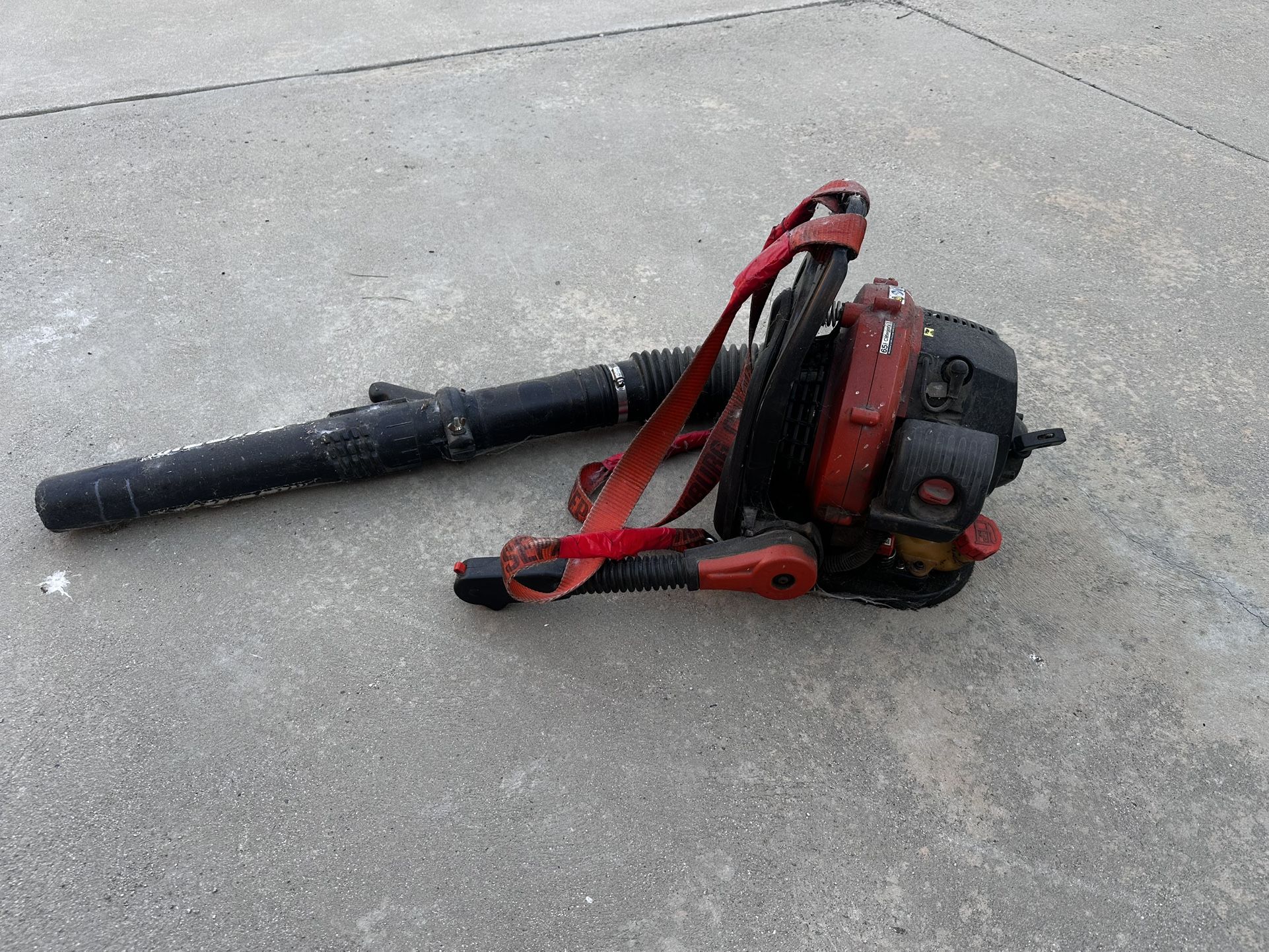Echo Leaf Blower