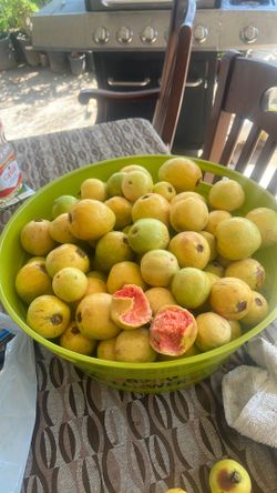 Guayavas color rosa