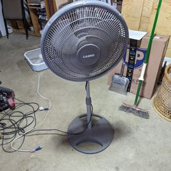 Fan