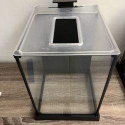 Fluval Shrimp and Betta Kit, a 2.6-gallon (10-liter) aquarium designed for freshwater shrimp and Betta 