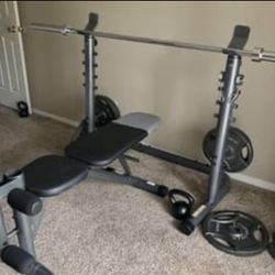 Weights : Olympic Bar & Plates 