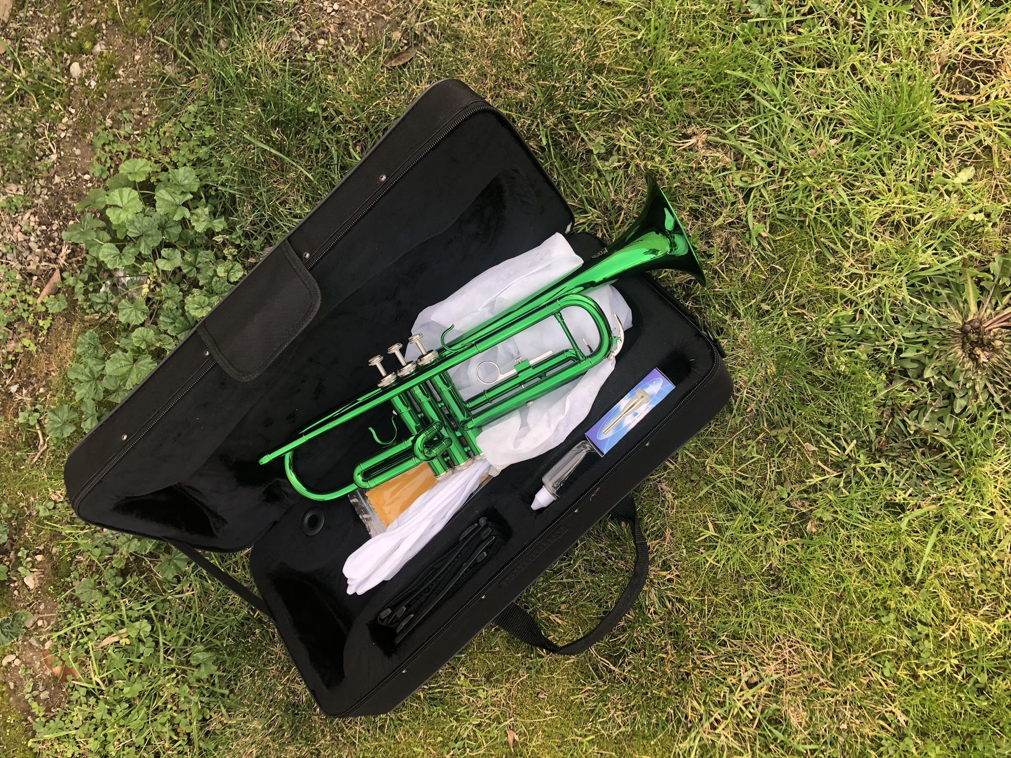 Trumpet. ๐บ. New