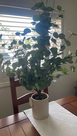 Threshold Faux Plant Eucalyptus  42” High
