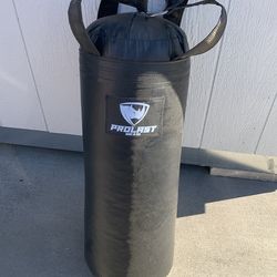 Punching bag