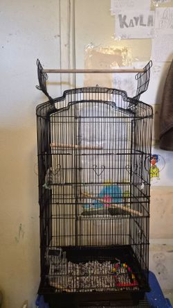 Bird cage, new