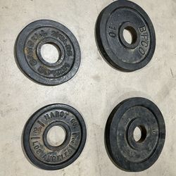 Olympic Weights 25lb