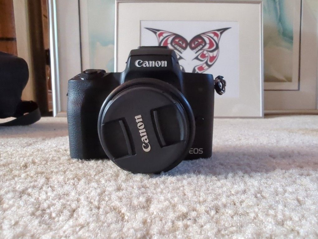 Canon EOS M50 24.1MP Mirrorless Camera - Black (Kit with 15-45mm STM Lens)