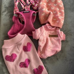 Dog accessories 