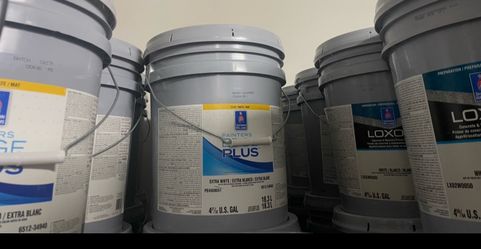 Pintura blanca y de color Paint sale