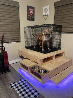 Dog House Bed Frame