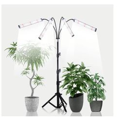 Grow Light With Stand 200W 6000k $15