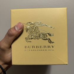 Burberry Watch (Authentic)