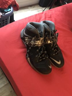 Lebron Nike