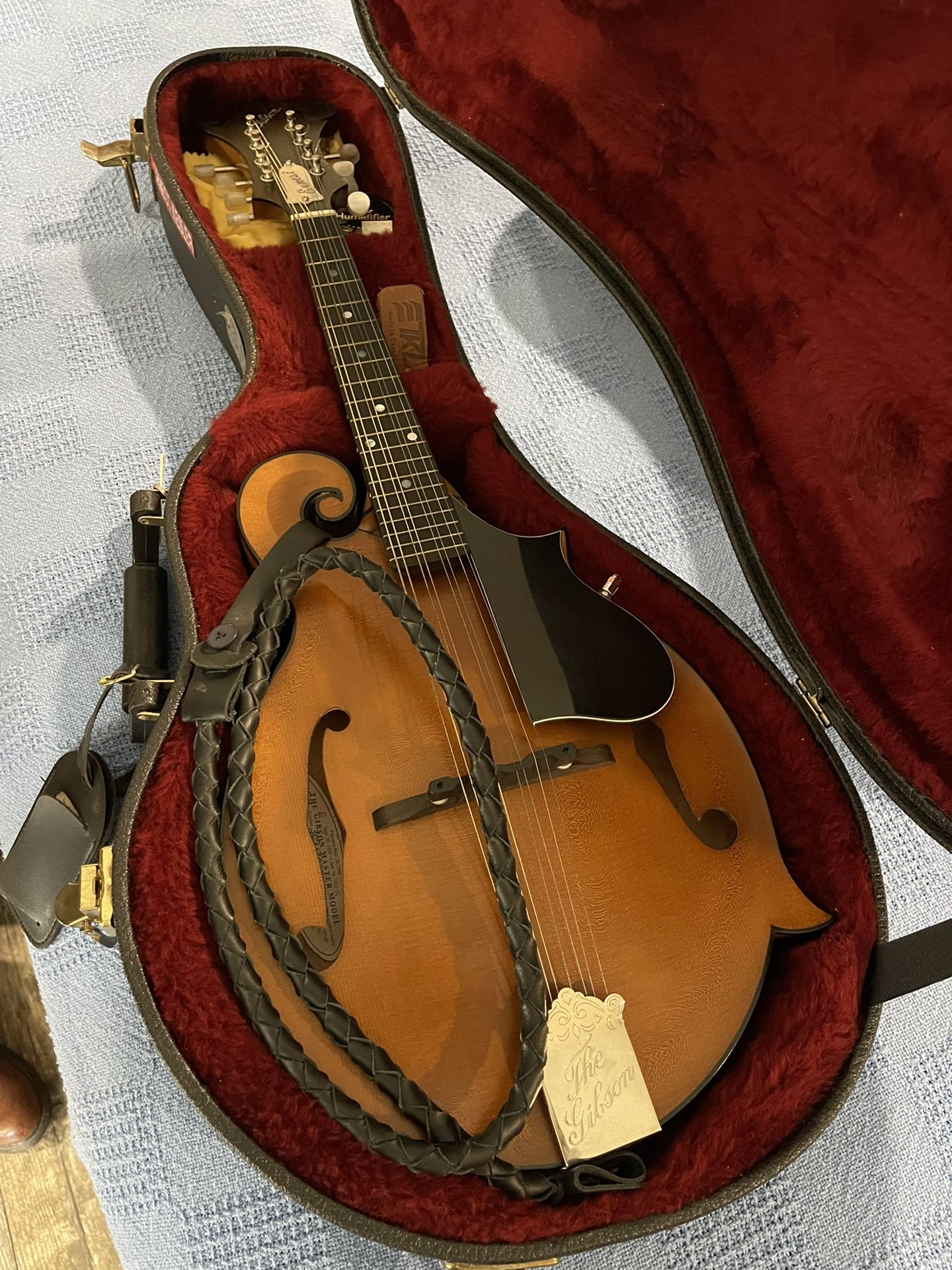 2002 Gibson F9 Mandolin “ Mint “