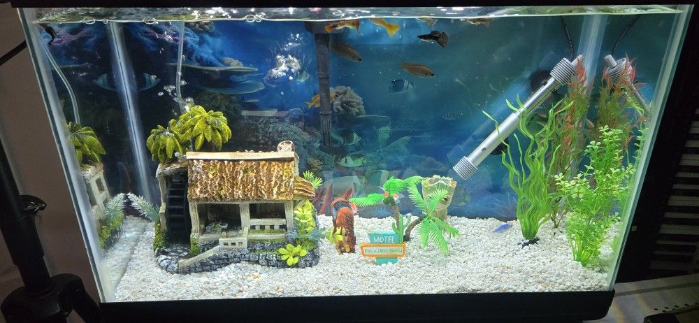 Fish Tank 50 Gallon
