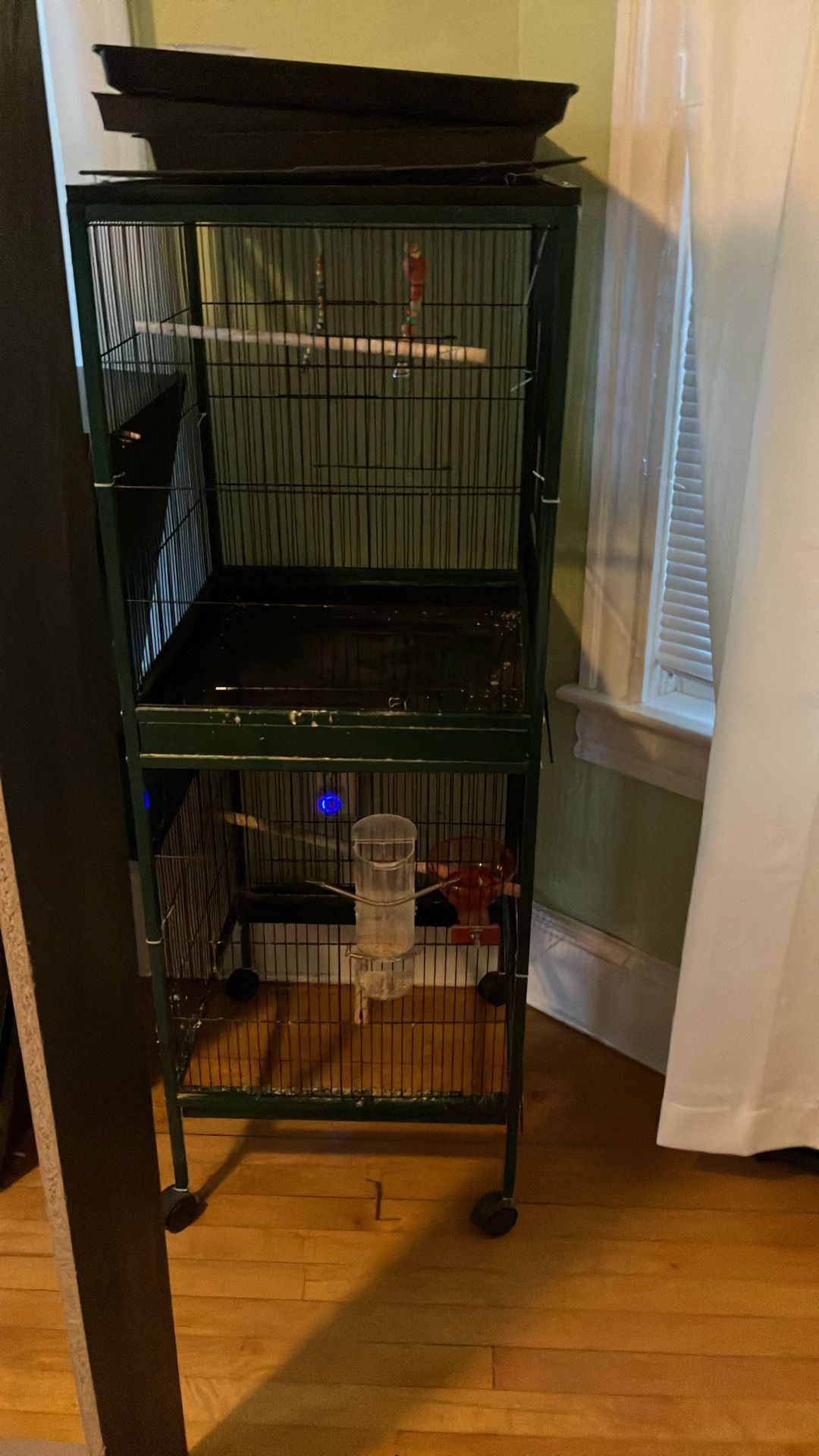 Bird Cage