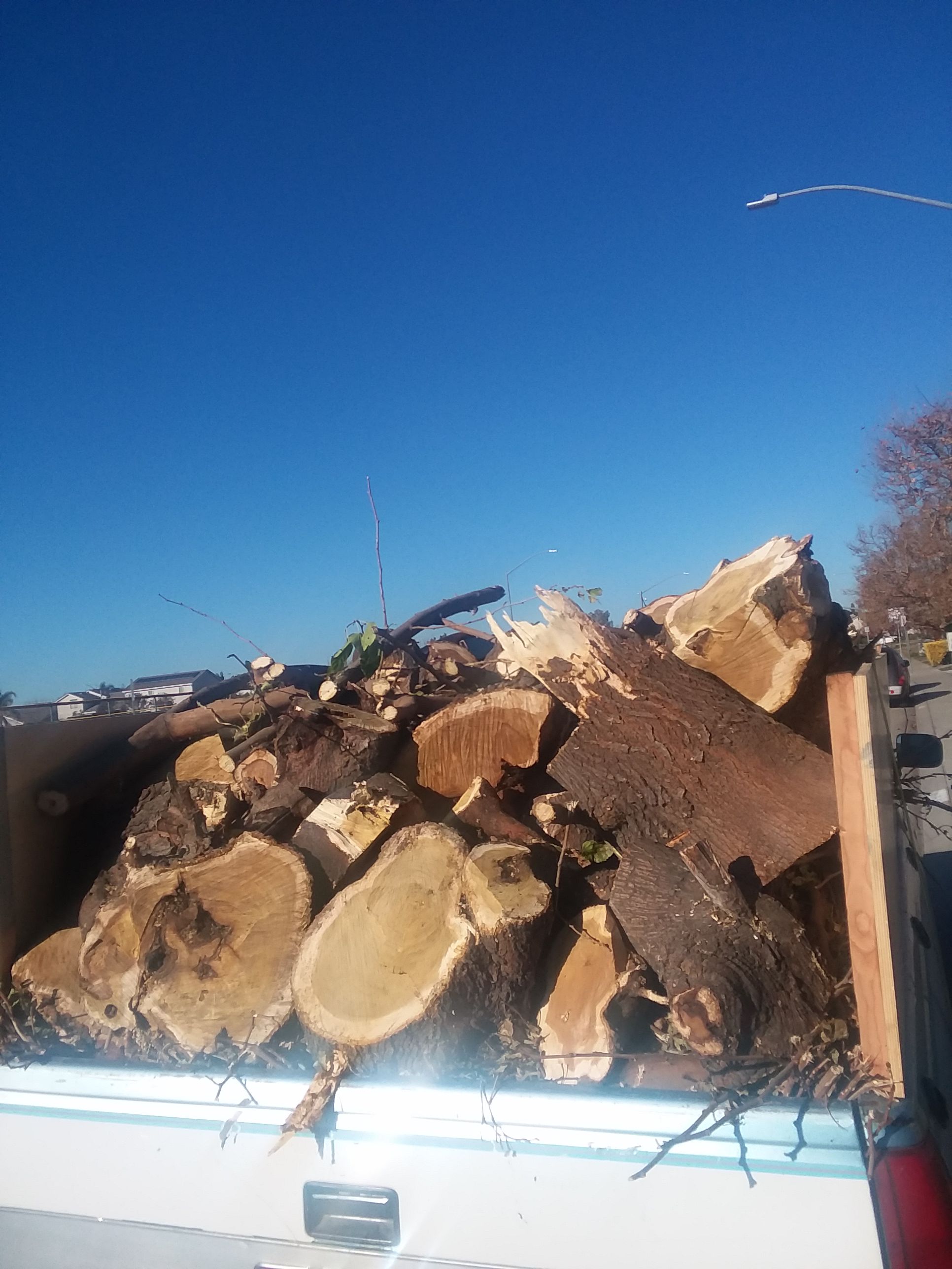 Free firewood in Stockton