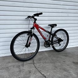 Trek Mountain Bike
