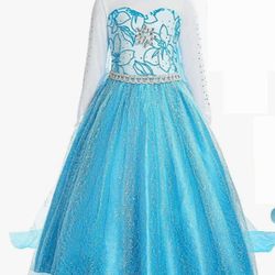 Elsa Frozen Costume 