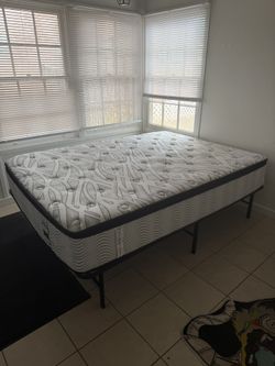 Queen Sized Bed + Frame