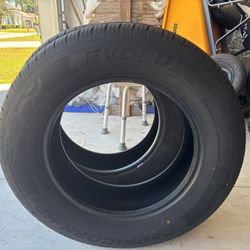 2 Evoluxx Capricorn HP Tires 235/65R17