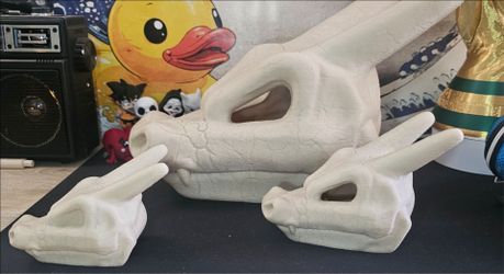 Pokemon  Skulls