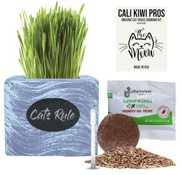 Organic Cat Grass Kit