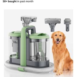 Handheld Carpet/Furniture Cleaner