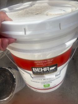 Behr 5 gallons Premium Plus Interior Flat Paint Swiss Coffee