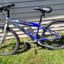 Kids Bike Treck 24"