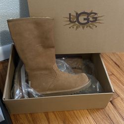 Brand new UGGs