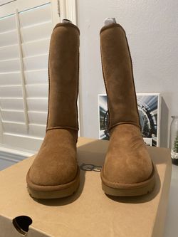Chestnut Uggs