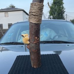 Cat Scratcher (READ DESCRIPTION)