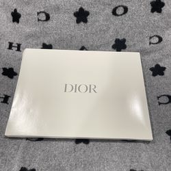 Dior Limited Pouch Bag