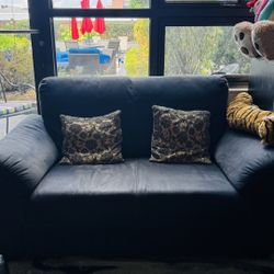 Cozy 2-Seater Sofa (LoveSeat) – $100